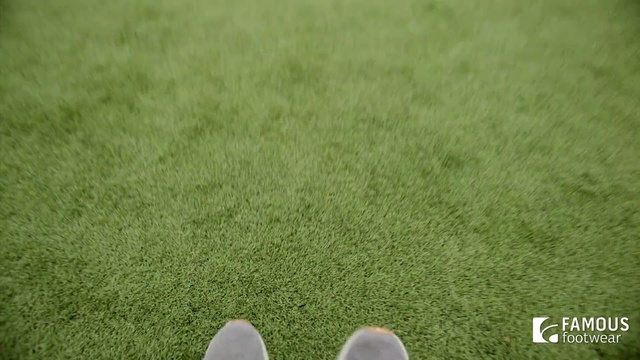 Video Reference: Lawn, Green, Grass, Artificial turf, Grassland, Grass family, Plant, Flooring, Meadow, Golf course