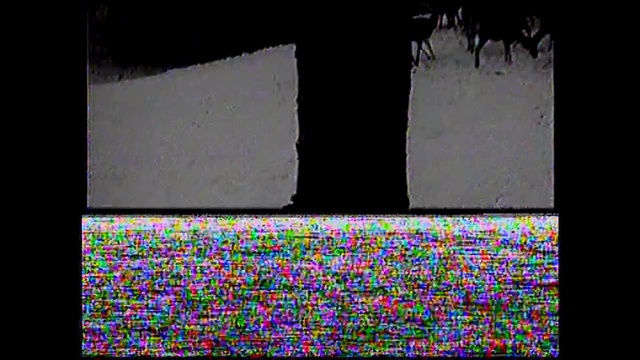 Video Reference: Text, Purple, Pattern, Symmetry, Line, Violet, Design, Graphic design, Font, Visual arts