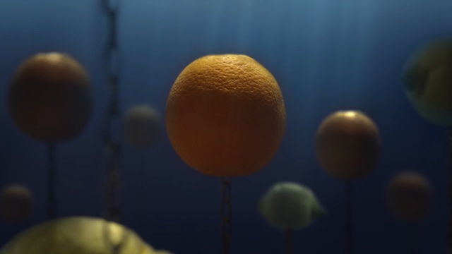 Video Reference: Blue, Orange, Sky, Organism, Sphere, Indoor, Sitting, Table, Front, Wooden, Room, Light, Fruit, Food, Desk, Red, Standing, White, Plate