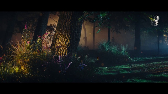 Video Reference: Nature, Green, Natural environment, Light, Darkness, Atmospheric phenomenon, Screenshot, Tree, Atmosphere, Biome