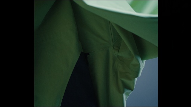 Video Reference: Green, Leaf, Textile, Dress, Photography, Formal wear, T-shirt, Macro photography