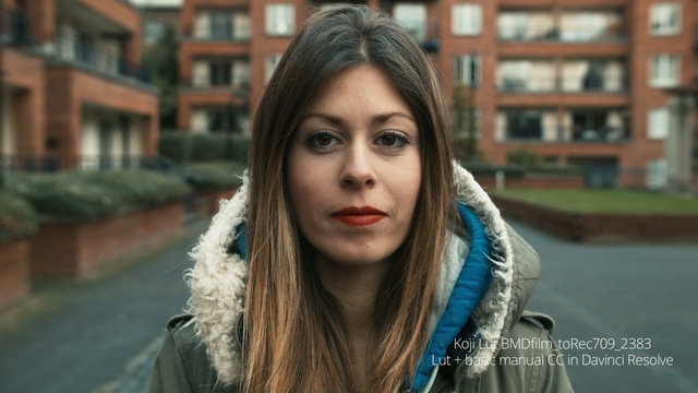 Video Reference: beauty, girl, lady, eye, photography, winter, black hair, fur, portrait, long hair, Person