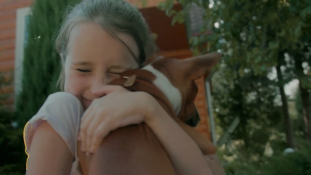Video Reference: Nose, Cheek, Fun, Ear, Child, Fawn, Canidae, Smile, Person