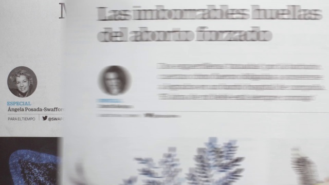 Video Reference: Text, Font, Plant, Paper, Document