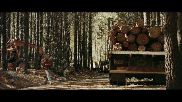 Video Reference: tree, forest, wood, woodland, screenshot, darkness