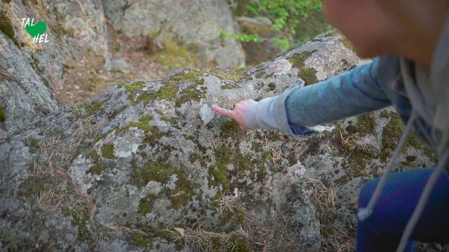 Video Reference: Adventure, Sport climbing, Rock, Geology, Recreation, Bedrock, Climbing, Rock climbing, Geological phenomenon, Outcrop