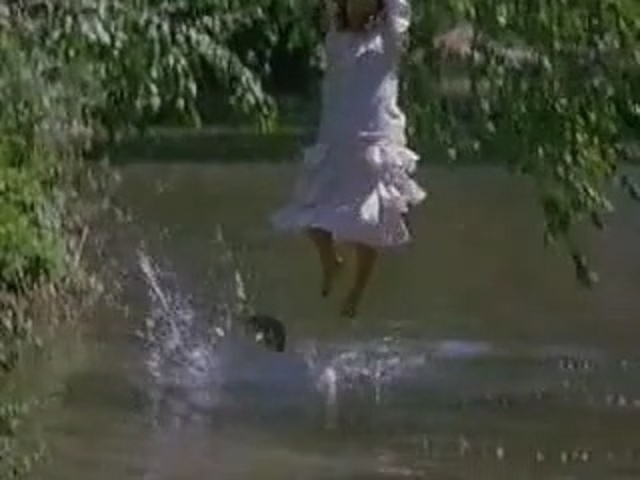 Video Reference: Nature, Water, Bank, Water resources, Natural environment, Watercourse, Pond, Tree, Bayou, Dress