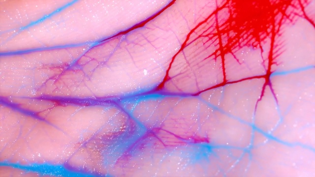 Video Reference: Pink, Skin, Close-up, Muscle, Hand, Flesh, Magenta