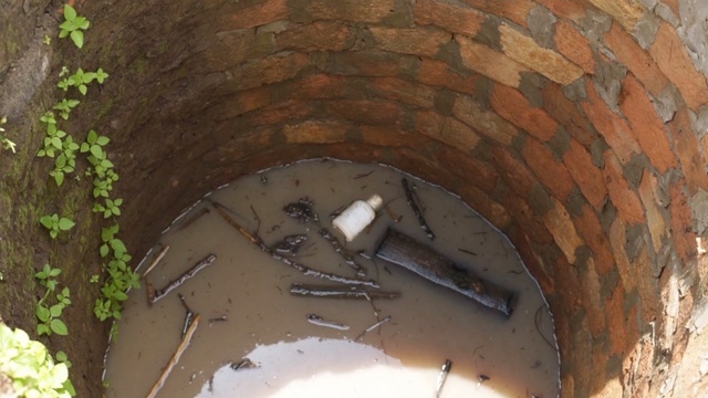 Video Reference: arch