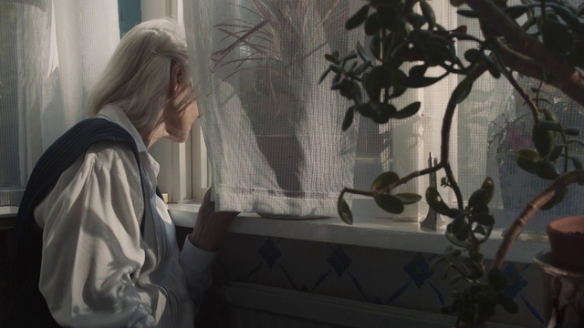 Video Reference: Tree, Branch, Organism, Blond, Plant, Photography, Window, Visual arts, Houseplant