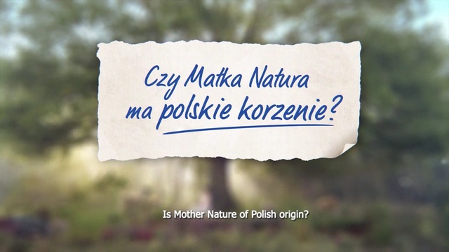 Video Reference: Font, Text, Calligraphy, Landscape, Signage, Banner, Logo, Sign