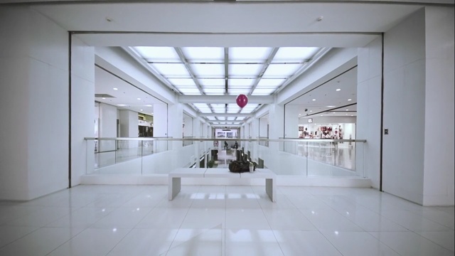 Video Reference: architecture, lobby, interior design, daylighting, ceiling, tourist attraction, hall, floor, Person