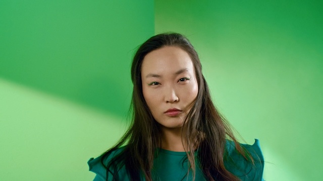 Video Reference: green, beauty, girl, lady, photography, eye, black hair, portrait, long hair, brown hair, Person