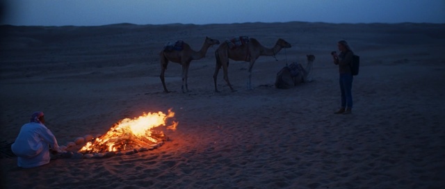 Video Reference: Camel, Camelid, Desert, Arabian camel, Natural environment, Landscape, Sand, Heat, Aeolian landform, Sahara, Person, Outdoor, Water, Beach, Field, Standing, Group, Horse, Walking, Man, Ocean, Playing, Flying, Sky