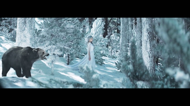 Video Reference: Bear, Brown bear, Grizzly bear, Adaptation, Wildlife, Tree, Organism, Forest, Screenshot, American black bear