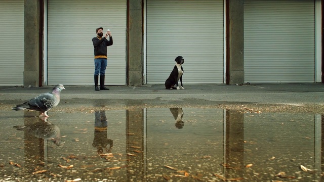 Video Reference: Water, Standing, Reflection, Human, Child, Adaptation, Bird, Pigeons and doves, Shadow, Floor