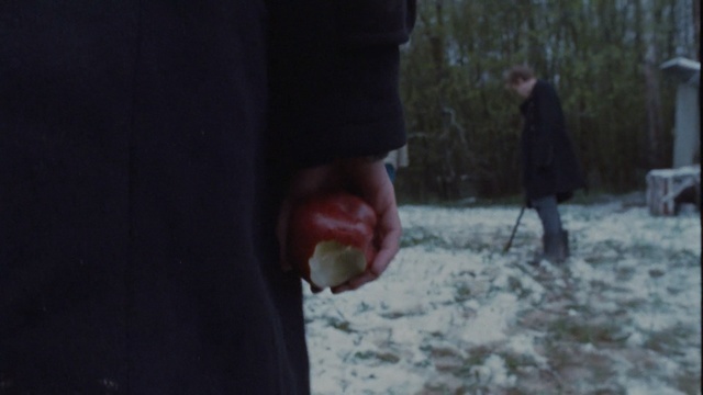 Video Reference: snow, freezing, winter, mouth, tree, snout, ice, darkness