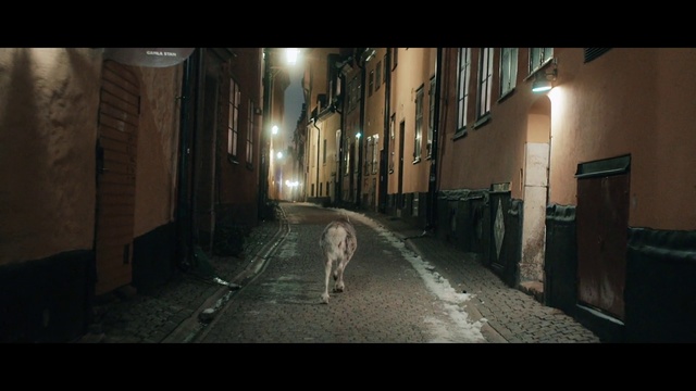 Video Reference: Alley, Street, Darkness, Road, Light, Town, Infrastructure, Snapshot, Atmosphere, Night