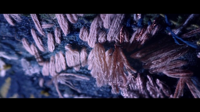 Video Reference: Blue, Thread, Textile, Wool, Tree, Electric blue, Woolen, Animal, Spider, Sitting, Photo, Black, Laying, Cat, Brown, Bird, Laptop, Bear, Computer, Table, Head, Dog, White, Bed, Standing, Stuffed, Arthropod, Cave, Invertebrate, Colored