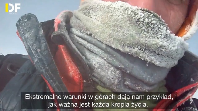 Video Reference: Fish, Rock, Fish, Seafood, Food