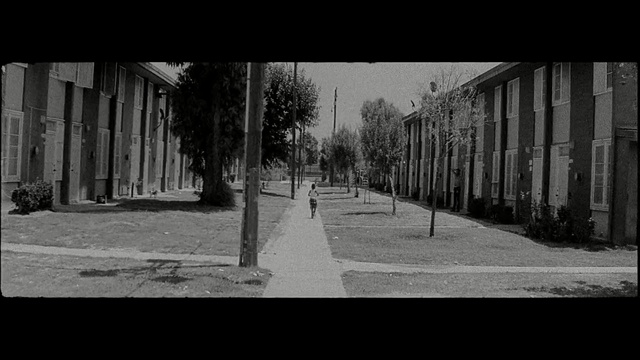Video Reference: white, black, urban area, photograph, black and white, road, tree, street, town, monochrome photography