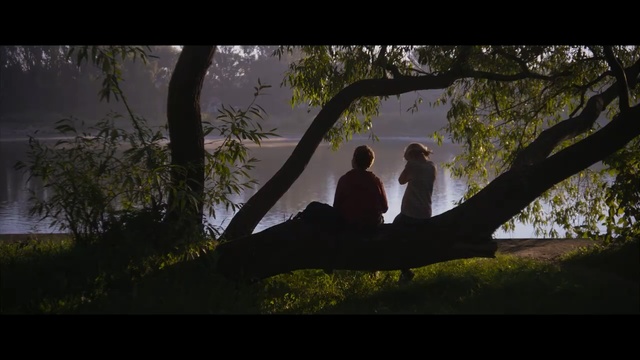 Video Reference: Photograph, Nature, Tree, Branch, Sky, Photography, Snapshot, Male, Morning, Woody plant, Person