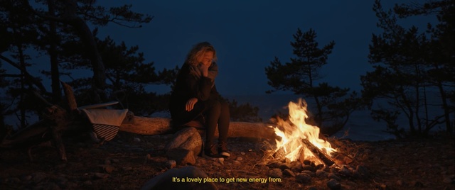 Video Reference: campfire, fire, bonfire, wilderness, flame, geological phenomenon, darkness, tree, sky, forest