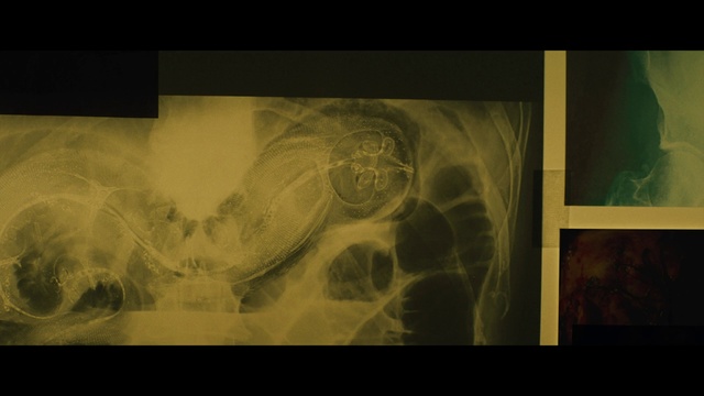 Video Reference: Art, Visual arts, Organism, Stock photography, Font, Photography, Drawing, Still life photography, Modern art