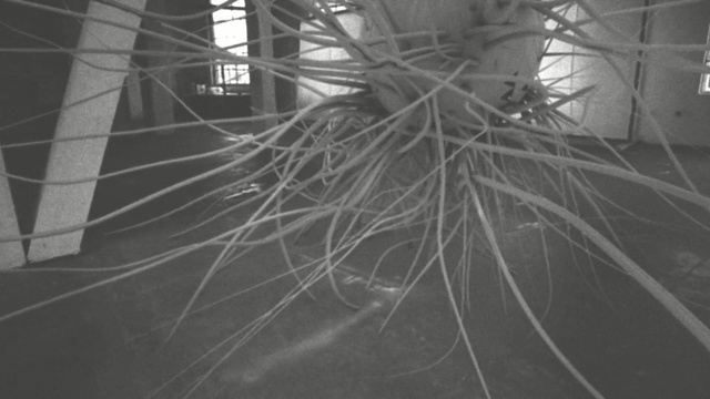 Video Reference: black, black and white, monochrome photography, structure, light, photography, architecture, snapshot, monochrome, line, Person