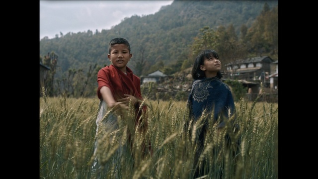 Video Reference: People in nature, Photograph, People, Friendship, Adaptation, Grass, Human, Happy, Photography, Rural area, Person