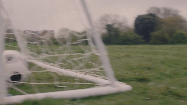 Video Reference: Atmospheric phenomenon, Tree, Grass, Wind, Pasture