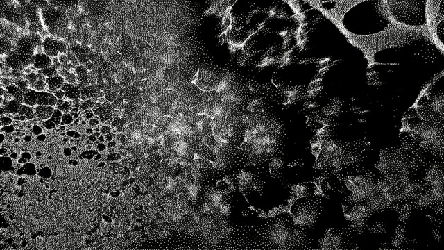 Video Reference: Black, Black-and-white, Monochrome, Pattern, Monochrome photography, Water, Design, Photography, Organism, Stock photography