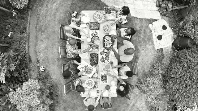 Video Reference: black and white, monochrome photography, photography, monochrome, tree, visual arts, Person