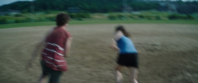 Video Reference: plant, vertebrate, grass, day, fun, tree, sky, field, morning, walking