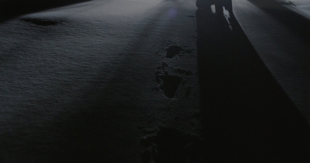 Video Reference: Black, White, Darkness, Black-and-white, Sky, Asphalt, Road, Tree, Night, Photography