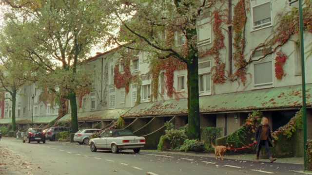 Video Reference: Car, Tire, Land vehicle, Wheel, Plant, Vehicle, Property, Building, Window, Motor vehicle