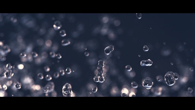 Video Reference: Moisture, Water, Drop, Dew, Macro photography, Organism, Liquid bubble, Close-up, Sky, Photography