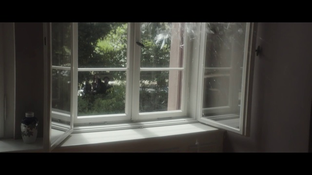 Video Reference: Window, Property, Sash window, Glass, Daylighting, Interior design, House, Door, Window treatment, Room, Indoor, Building, Sitting, Small, White, Ledge, Black, View, Mirror, Table, Large, Light, Vase, Sink, Tree