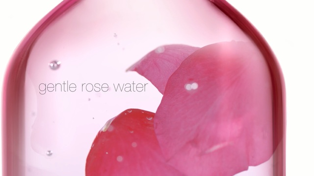 Video Reference: pink, magenta, petal