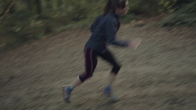 Video Reference: Running, Recreation, Sports, Orienteering, Fun, Exercise, Jogging, Sports training, Long-distance running, Landscape