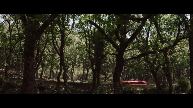 Video Reference: Tree, Nature, Forest, Natural environment, Woodland, Green, Natural landscape, Jungle, Vegetation, Woody plant, Outdoor, Grass, Park, Bench, Sitting, Standing, Area, Field, Large, Water, Covered, Grassy, White, Sign, Tall, Bus, Group, Plant, Sky, Land vehicle, Wooded, Day