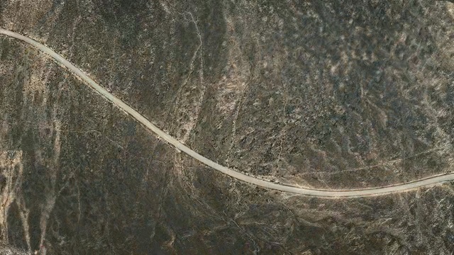 Video Reference: soil, tree