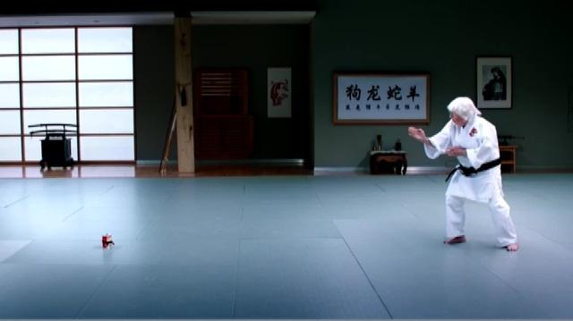 Video Reference: Martial arts, Karate, Japanese martial arts, Individual sports, Taekwondo, Sports, Tang soo do, Dobok, Contact sport, Judo