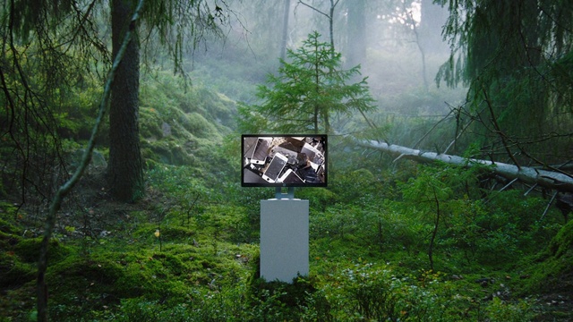 Video Reference: Nature, Nature reserve, Natural landscape, Natural environment, Forest, Jungle, Vegetation, Tree, Old-growth forest, Atmospheric phenomenon