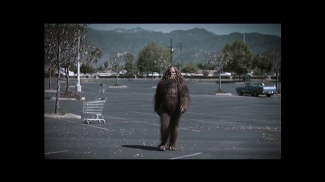 Video Reference: Photograph, Black, People, Mode of transport, Tree, Standing, Snapshot, Asphalt, Pedestrian, Longboard, Person