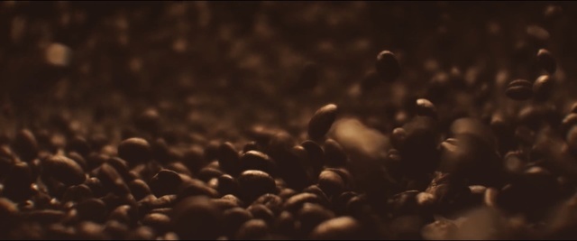 Video Reference: Black, Brown, Sky, Photography, Cloud, Crowd, Meteorological phenomenon