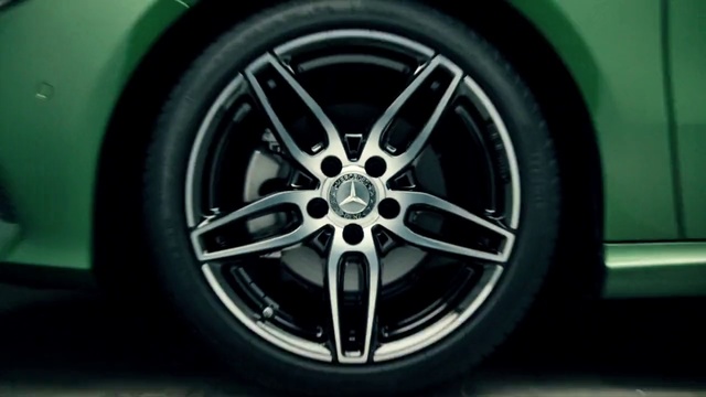 Video Reference: Land vehicle, Alloy wheel, Vehicle, Car, Rim, Spoke, Wheel, Auto part, Tire, Automotive wheel system, Green, Road, Outdoor, Dog, Sitting, Small, Black, Parked, Street, White, Automotive, Hubcap, Tire care, Automotive tire, Tread, Synthetic rubber, Control panel