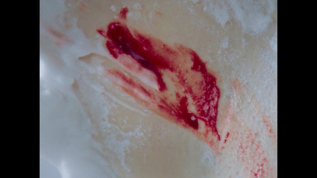 Video Reference: Skin, Flesh, Close-up, Art, Stain