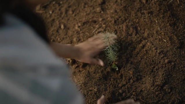 Video Reference: Soil, Leg, Hand, Tree, Adaptation, Organism, Plant, Finger, Photography, Foot