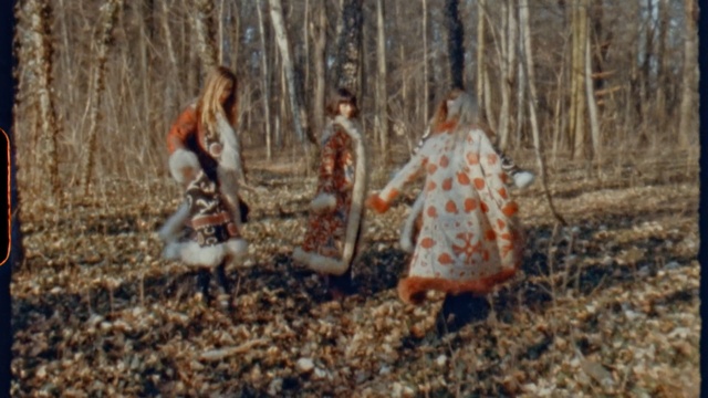 Video Reference: tree, girl, forest, woodland, grass, fun, grass family